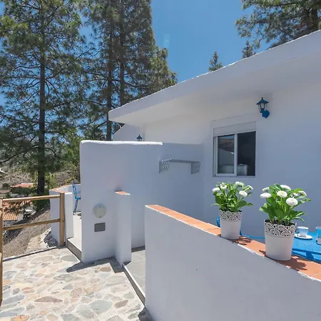 別荘 Gc0274 La Montana De Chira 2 Los Cercados